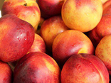 Nectarines jaunes