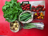 Panier de printemps epicurien