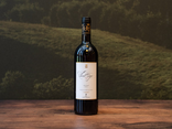 Cont' Ugo Bolgheri DOC