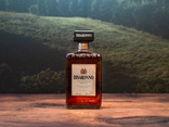 Amaretto Disaronno 50cl