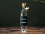 Grappa Secolo Domenis