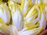 Endives belge