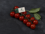 Tomates cerises extra rabelais