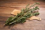 Romarin en botte