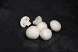 Champignons de Paris