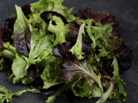 Mesclun en barquette
