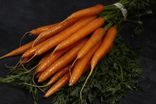 Carottes en botte