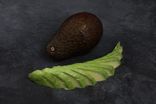Avocat