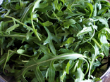 Roquette