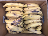 Bananes plantin