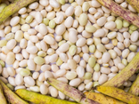 Haricots  ecossée barquette