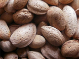 Amandes - coque