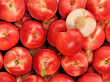 Nectarines blanches bio
