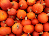 Potimarron