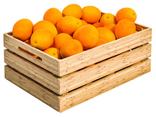 Oranges à jus bio