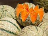 Melon