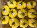 Tomates coeur de boeuf jaune