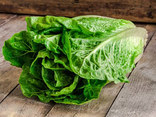 Romaine bio