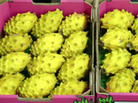 Pitaya jaune
