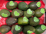 Avocat gros bio