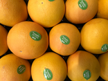 Pomelo rose bio
