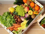 Panier De Légumes BIO 7KG
