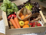 Panier De Fruits et Légumes bio 5KG