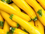 Courgettes jaunes