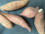 Patates douces blanches
