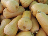 Butternut