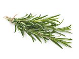Romarin bio