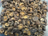CHIPS DE CHAMPIGNONS SHIITAKE FRITS