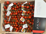 Tomates cerises jounot