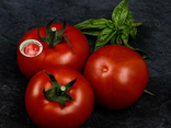 Tomates gusto
