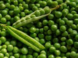 Petits pois écossés