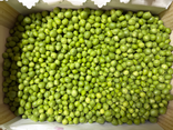 Petits pois écossés bio