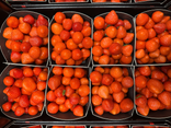Fraises belge