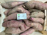PATATE DOUCE ROUGE VIOLETTE BIO