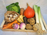 Panier De Légumes 5KG