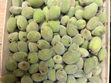 Amandes fraiches