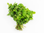 Menthe