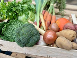 Panier De Légumes De Saison BIO 4KG