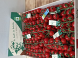 Tomates cerises Rabelais