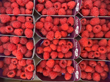 Framboises