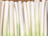 Blanc de poireaux bio