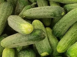 Cornichons frais