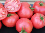Tomates Rose de Berne