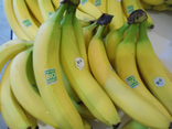 Bananes bio