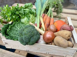 Panier De Légumes BIO 9KG