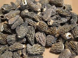Morilles séchées